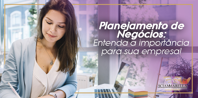 planejamento de negocios